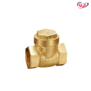 Brase NRV Valve 1/2",3/4",1",1 1/4",1 1/2",2"