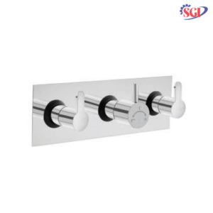 Concealed Wall Mixer