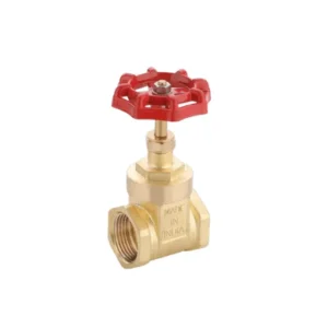BRASS GATE VALVE